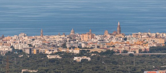 12 rooms Villa in Monopoli, Italy No. 59736 32