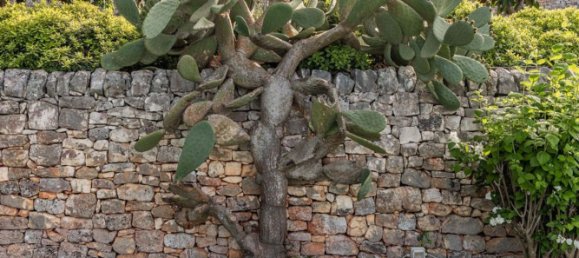 12 rooms Villa in Monopoli, Italy No. 59736 30