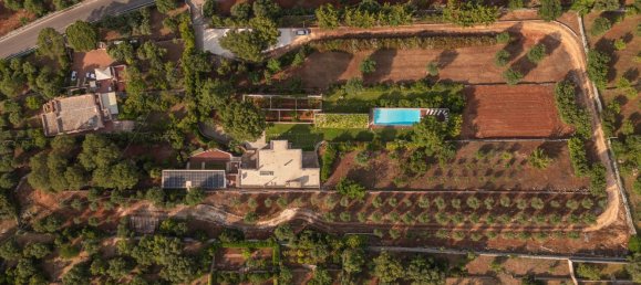 12 rooms Villa in Monopoli, Italy No. 59736 35