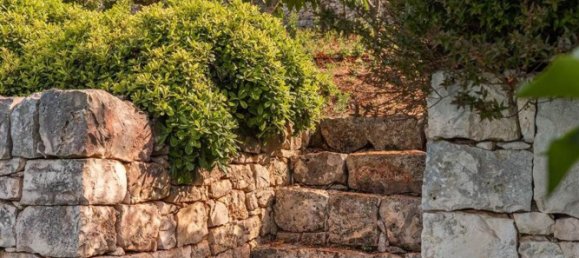 12 rooms Villa in Monopoli, Italy No. 59736 8