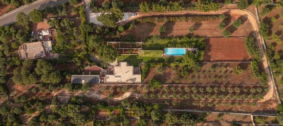 12 rooms Villa in Monopoli, Italy No. 59736 26