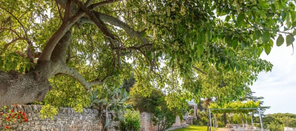 12 rooms Villa in Monopoli, Italy No. 59736 31