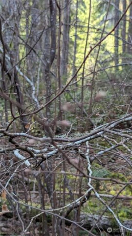 Grundstück in Vaughn, USA, Nr. 492732