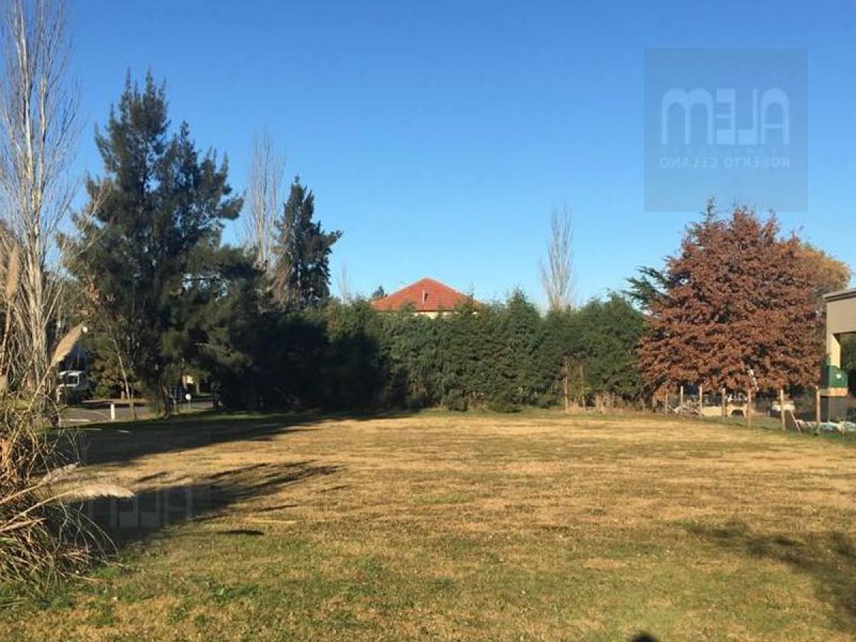  Land in Ezeiza, Argentina No. 110541