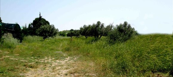 3100m² Hotel in Chalkidiki, Greece No. 7214 5