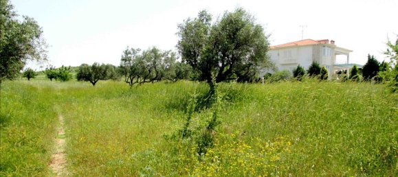 3100m² Hotel in Chalkidiki, Greece No. 7214 2