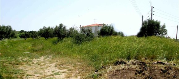 3100m² Hotel in Chalkidiki, Greece No. 7214 3