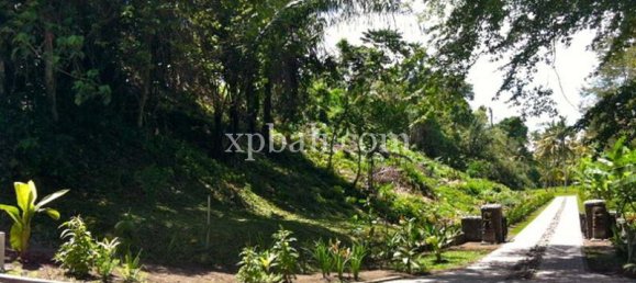 قطعة أرض في Negara, Indonesia 62440متر مربع رقم 3892 7