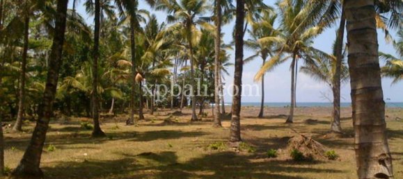 قطعة أرض في Negara, Indonesia 62440متر مربع رقم 3892 5