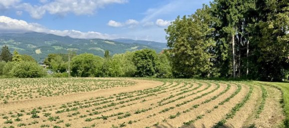 Grundstück in Wolfsberg, Austria, Nr. 137160 2