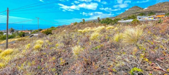 1201m² Land in La Palma, Spain No. 182417 4