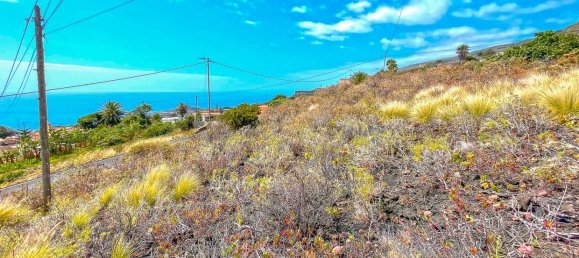 1201m² Land in La Palma, Spain No. 182417 6