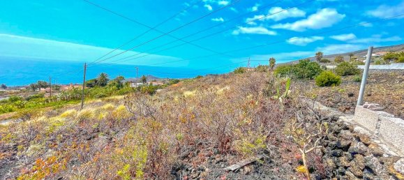 1201m² Land in La Palma, Spain No. 182417 11