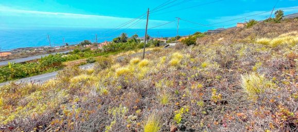 1201m² Land in La Palma, Spain No. 182417 3