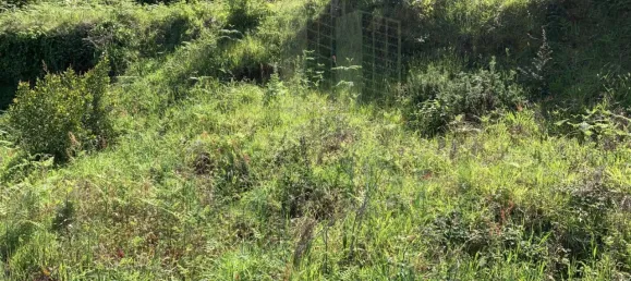  Land in Seixas, Portugal No. 58738 4