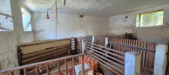 Terreno de 5 divisões em Neudau, Austria N.º 230187 23