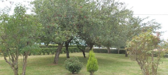 3 bedrooms House in Sainte-Severe-sur-Indre, France No. 241699 7