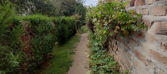 3 bedrooms House in Sainte-Severe-sur-Indre, France No. 241699 10