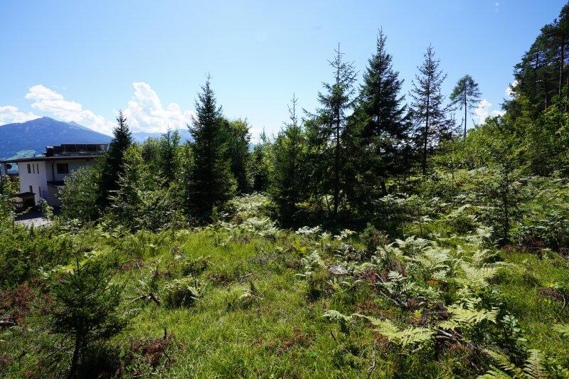  Land in Gnadenwald, Austria No. 63748