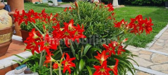 3 chambres Villa à Carrara, Italy No. 166497 7