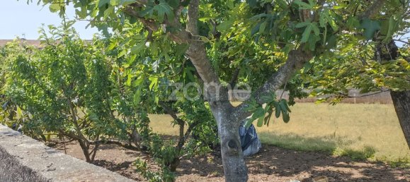  قطعة أرض في Macinhata do Vouga, Portugal 934متر مربع رقم 79851 9