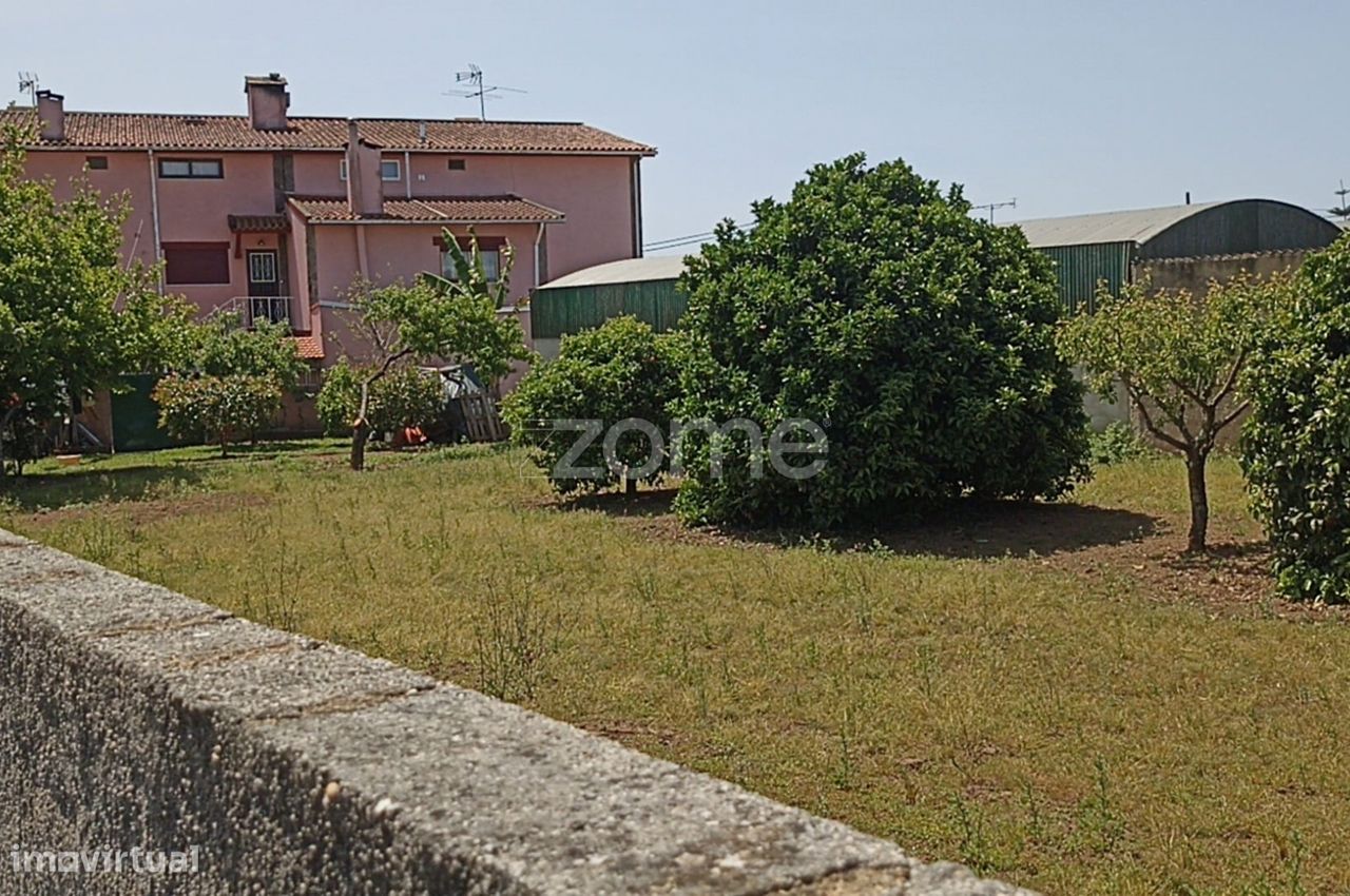  قطعة أرض في Macinhata do Vouga, Portugal 934متر مربع رقم 79851