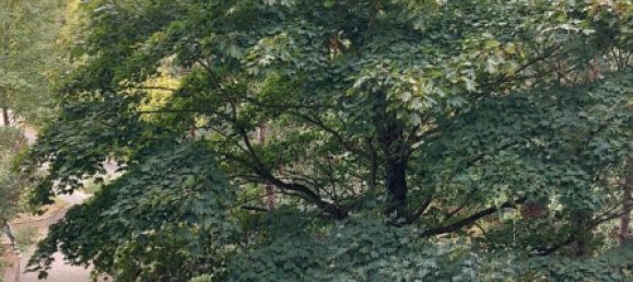 Apartamento T1 em Stormarn, Germany N.º 293871 2