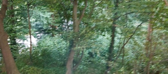 Apartamento T1 em Stormarn, Germany N.º 293871 16