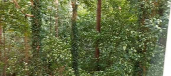 Apartamento T1 em Stormarn, Germany N.º 293871 4