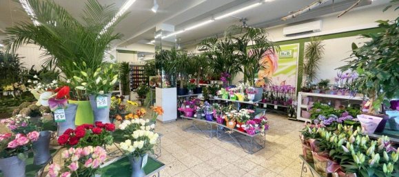 1425m² Building in Villach, Austria No. 247067 14