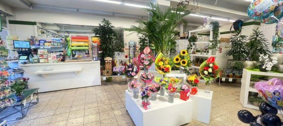 1425m² Building in Villach, Austria No. 247067 15