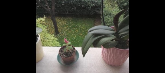 Дом с 4 спальнями в Вигодарцере, Италия № 349369 38