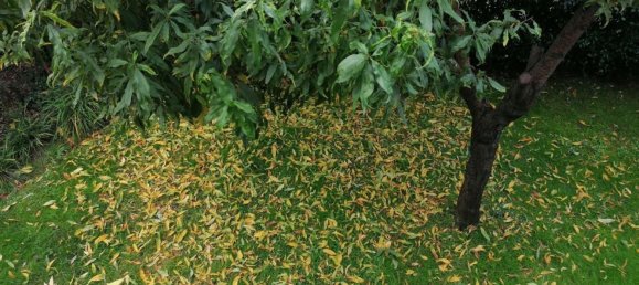 Дом с 4 спальнями в Вигодарцере, Италия № 349369 37