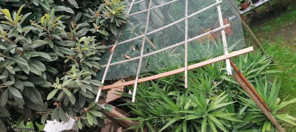 Дом с 4 спальнями в Вигодарцере, Италия № 349369 2