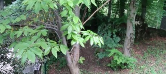 3-Zimmer Villa in Ballabio, Italy, Nr. 137716 3