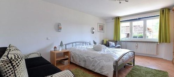 10 bedrooms House in Oltingue, France No. 101070 30