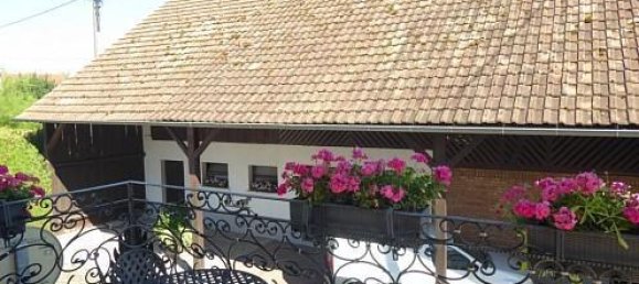 10 bedrooms House in Oltingue, France No. 101070 14