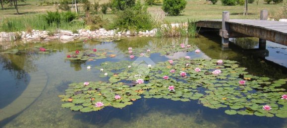 5 rooms Villa in Verona, Italy No. 35339 17