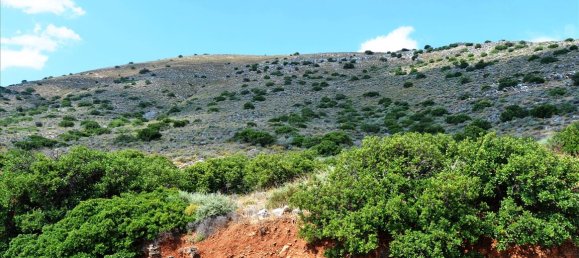 4860 m² hotel en venta en Lasithi, Crete, Greece № 6253 6