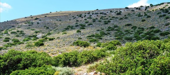 4860m² Hotel in Lasithi, Greece No. 6253 2