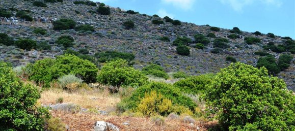 4860m² Hotel in Lasithi, Greece No. 6253 4