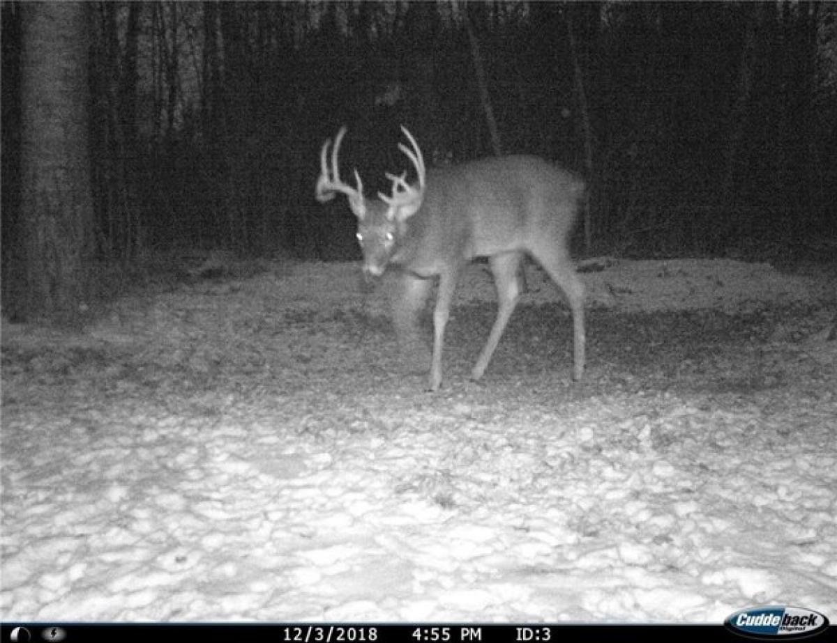 2 bedrooms House in Wannaska, USA No. 407696