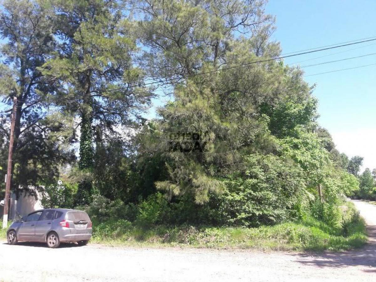 Grundstück in Campo Creado, Argentina, Nr. 40665