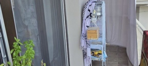 2 bedrooms Apartment in Cavriglia, Italy No. 309810 15