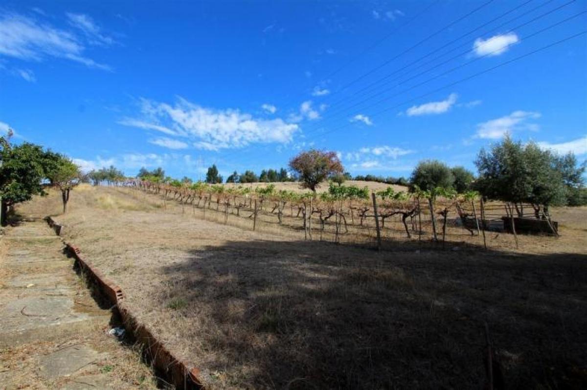 5 bedrooms House in Coimbra, Portugal No. 431