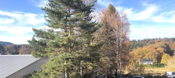 Apartamento de 1 dormitorio en Calw, Germany No. 35929 13