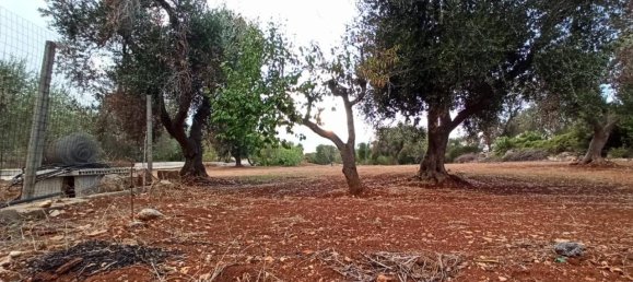 Вилла с 5 комнатами в Челье Мессапика, Италия № 37045 24