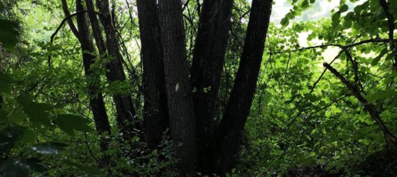  قطعة أرض في Freyung-Grafenau, Germany رقم 243746 10