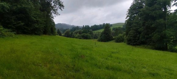  قطعة أرض في Freyung-Grafenau, Germany رقم 243746 3