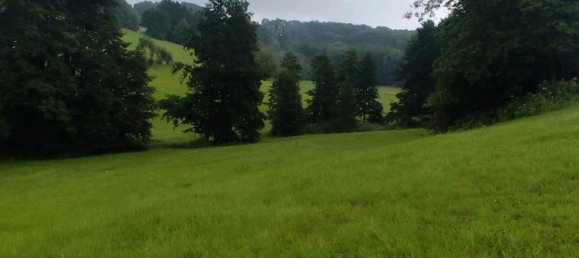  قطعة أرض في Freyung-Grafenau, Germany رقم 243746 8